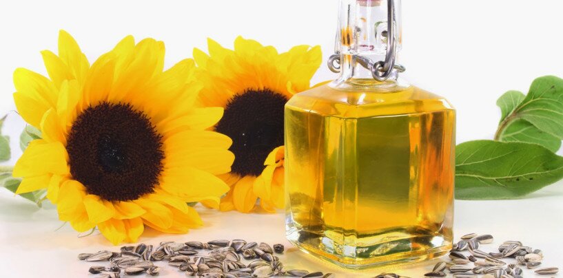 Sunflower Oil and Its Benefits for the Everyday Consumer